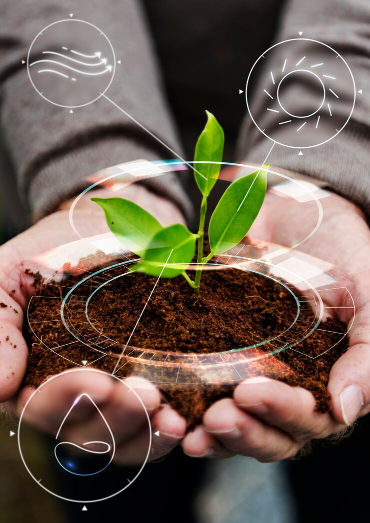 sustentabilidade
