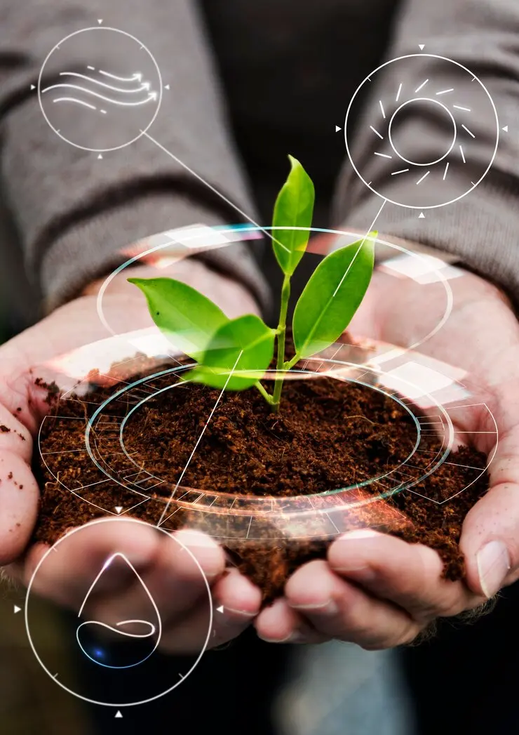 sustentabilidade